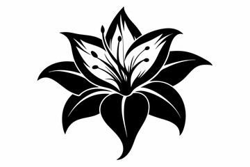 lily flower line art silhouette vector illustration