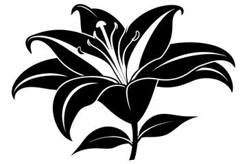 lily flower line art silhouette vector illustration