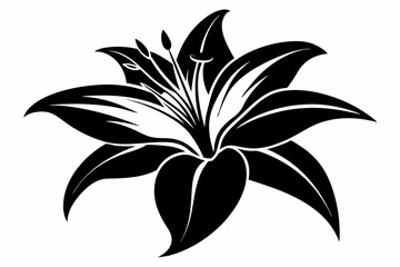 lily flower line art silhouette vector illustration