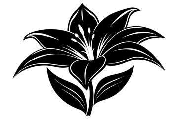 lily flower line art silhouette vector illustration