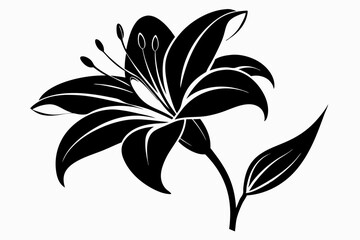 lily flower line art silhouette vector illustration