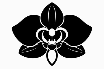 orchid flower line art silhouette vector illustration