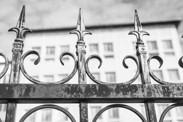 A weathered wrought iron fence with elegant spear-shaped tips and decorative scrollwork stands...