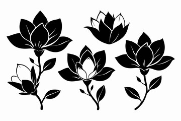 set of four magnolia flower line art silhouette vector illustration
