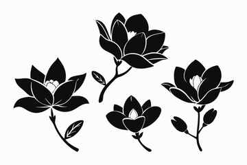 set of four magnolia flower line art silhouette vector illustration