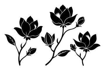 set of four magnolia flower line art silhouette vector illustration