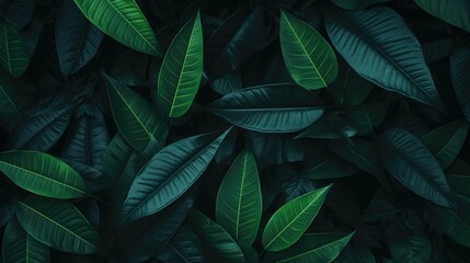 Fototapeta premium Posh Dark Green Leafy Pattern