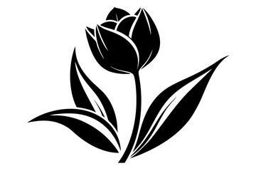 tulip flower line art silhouette vector illustration