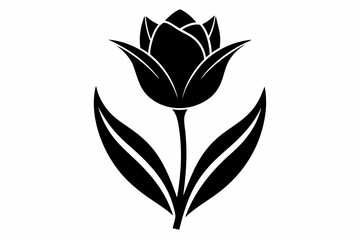 tulip flower line art silhouette vector illustration