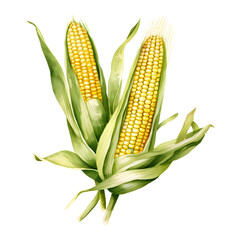 Digital technology corn watercolor design illustration