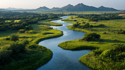  doaana national park wallpaper,