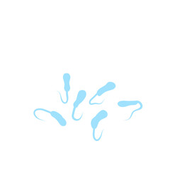 Vibrio Cholerae Bacteria 