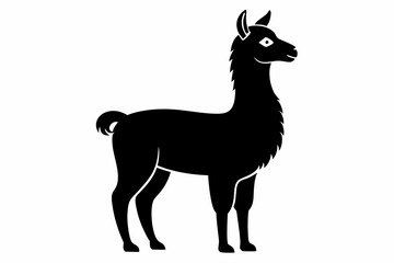 alpaca line art silhouette vector illustration