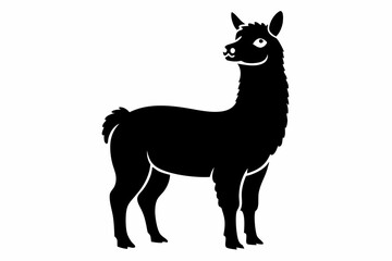 alpaca line art silhouette vector illustration