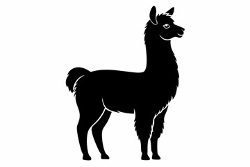 alpaca line art silhouette vector illustration