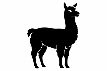 alpaca line art silhouette vector illustration