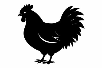 chicken line art silhouette vector illustration