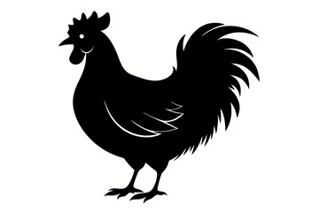 chicken line art silhouette vector illustration