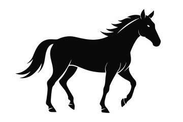 horse line art silhouette vector illustration