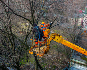 Municipal service workers stand with a chainsaw in a crane basket and trim dangerous trees