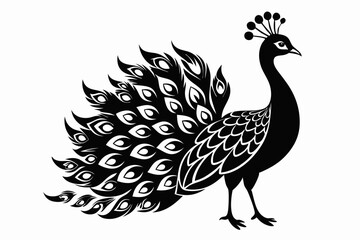 peacock line art silhouette vector illustration