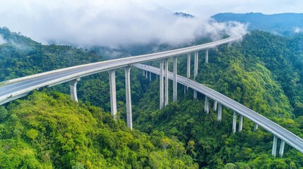Obraz premium A panoramic drone shot of a highway bridge cutting through a dense rainforest, connecting two mountain ranges