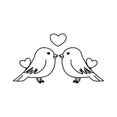  birds on branch - love and romance concept.