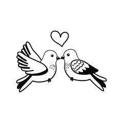  birds on branch - love and romance concept.
