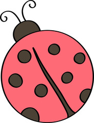 Cute Ladybug Insect illustration