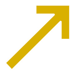 Vector Design Up Right Icon Style