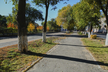 Autumn landscape of a small town. Village houses and roads covered with orange foliage
