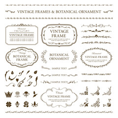 vintage frames & botanical ornament set.png
