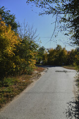 Autumn landscape of a small town. Village houses and roads covered with orange foliage