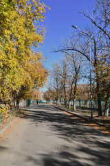 Autumn landscape of a small town. Village houses and roads covered with orange foliage