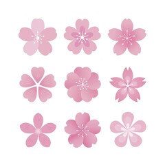Fototapeta premium Cherry Blossom Flat Illustration Set Vector