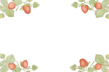PNG Strawberry backgrounds fruit plant.
