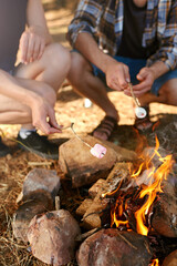 Hands, friends and marshmallow roast on camp fire in fun adventure, travel or hiking break in forest. People, toasted or sweet snack by wood flame for food, smores or delicious dessert in nature park