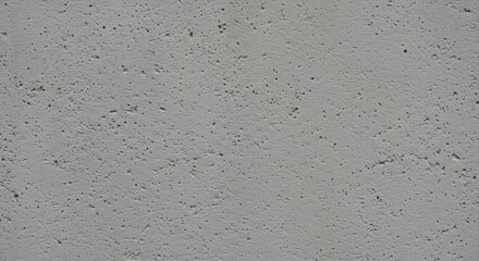 Textured gray concrete wall surface.