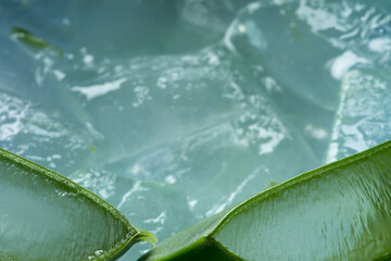 Close-up of two aloe vera slices lying on gel, freshly extracted from leaves in a blue-green bowl. 