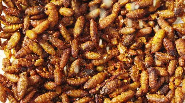 Golden silkworm pupa processing process