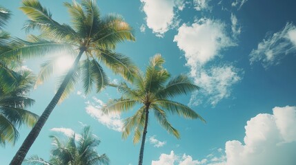 Of a Towering coconut palm trees swaying against a bright blue tropical sky with scattered clouds