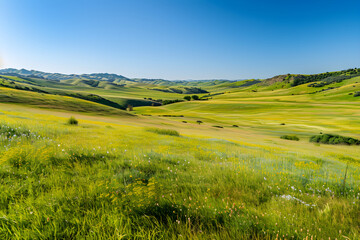 Obraz premium Pristine Upland Landscape with Golden Fields, Rolling Hills, and Clear Blue Sky