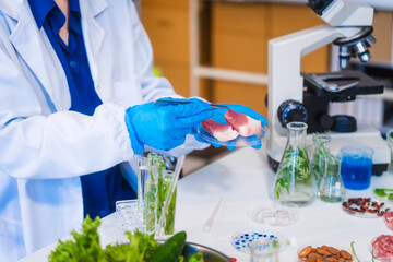 Middle-aged female laboratory worker wearing blue gloves conducts lab test on food ingredients...