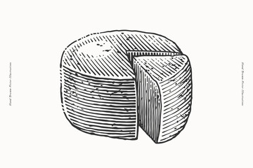 Hand-drawn vintage illustration of a whole cheese Caciotta wheel with a cut wedge in engraving style. Rustic dairy product sketch for farm, gourmet food, and packaging design.