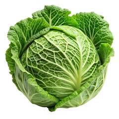 Obraz premium Fresh Cabbage vegetable looks full isolated on transparent background