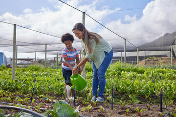 Field trip, student and teacher with watering can on farm for agricultural sustainability in...