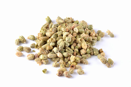 Oregano Buds, Kekik Bilye