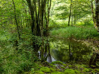 Idyll in the Mangfall valley, Munich's water reservoir.