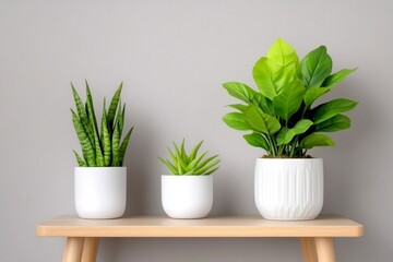 Fototapeta premium Elegant Indoor Plants Arrangement on Wooden Table with Light Gray Wall Background for Modern Interiors