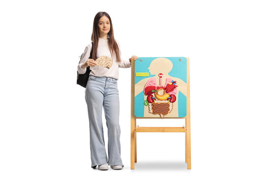 Full length portrait of a female student standing next to a board with human organs poster